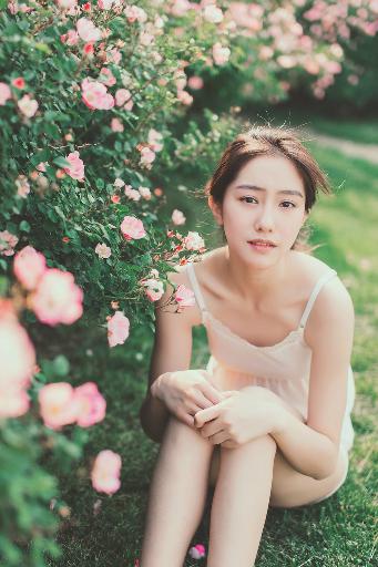 玫瑰的故事免费观看完整版